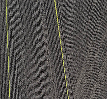 Milliken Facet fca 103-79 Anthracite Citrus фото 1 | FLOORDEALER